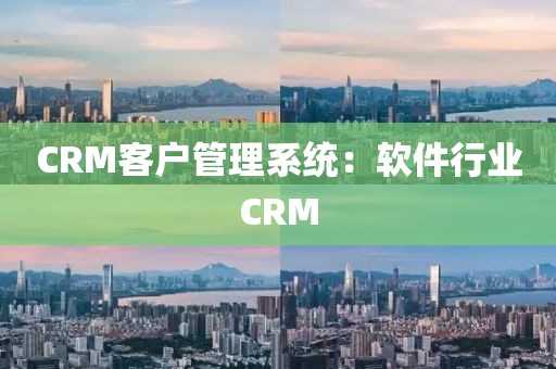 CRM客户管理系统：软件行业CRM