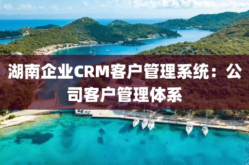 湖南企业CRM客户管理系统：公司客户管理体系