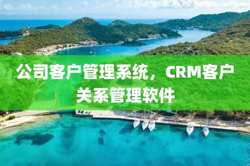 公司客户管理系统，CRM客户关系管理软件