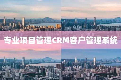 专业项目管理CRM客户管理系统