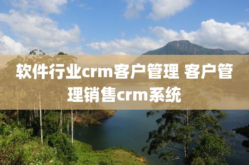 软件行业crm客户管理 客户管理销售crm系统