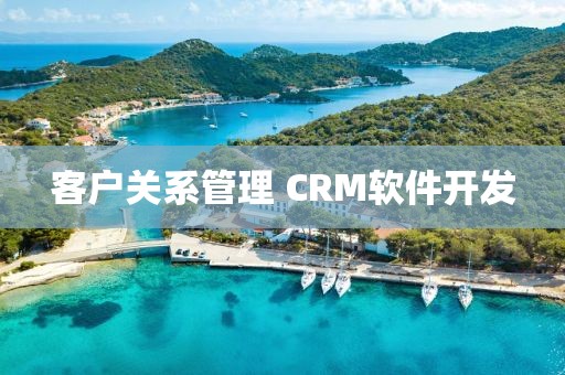 客户关系管理 CRM软件开发