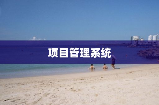项目管理系统