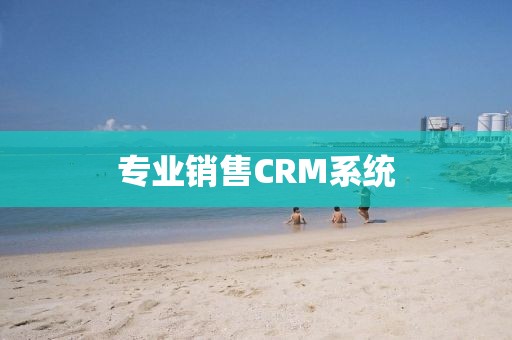 专业销售CRM系统