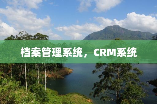档案管理系统，CRM系统