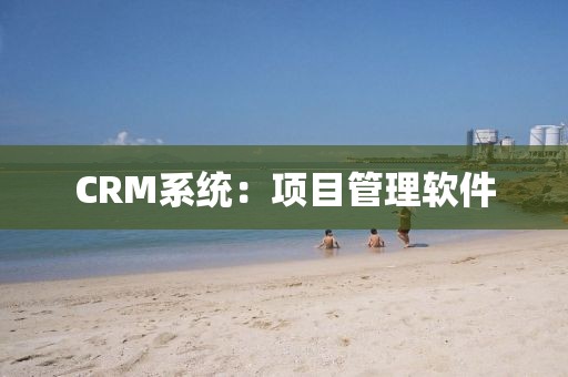 CRM系统：项目管理软件