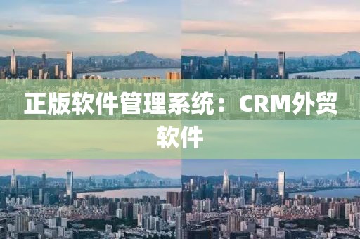正版软件管理系统：CRM外贸软件