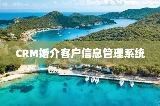 CRM婚介客户信息管理系统
