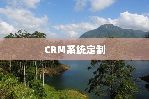CRM系统定制