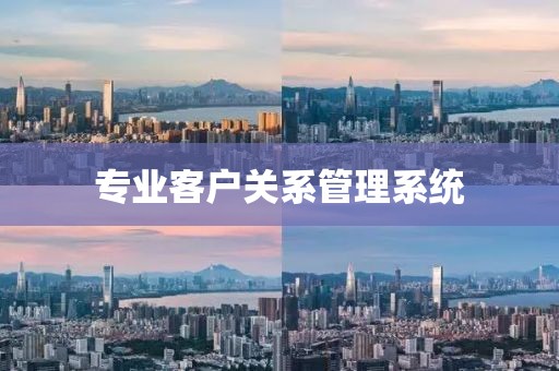 专业客户关系管理系统