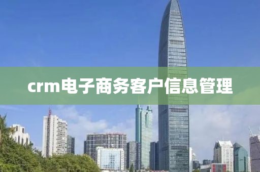 crm电子商务客户信息管理