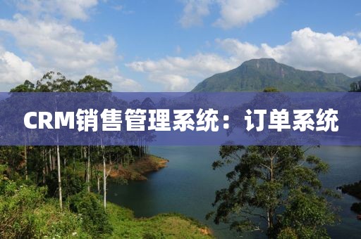 CRM销售管理系统：订单系统