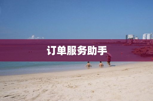 订单服务助手