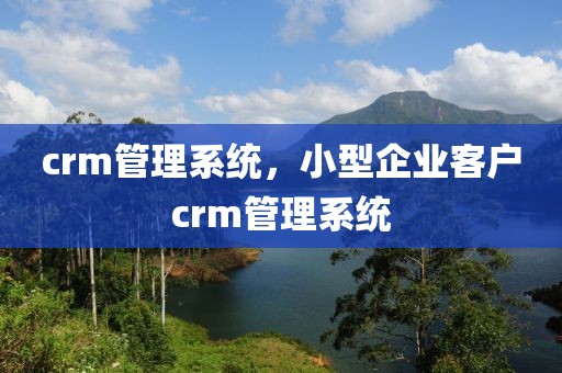 crm管理系统，小型企业客户crm管理系统