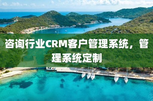 咨询行业CRM客户管理系统，管理系统定制