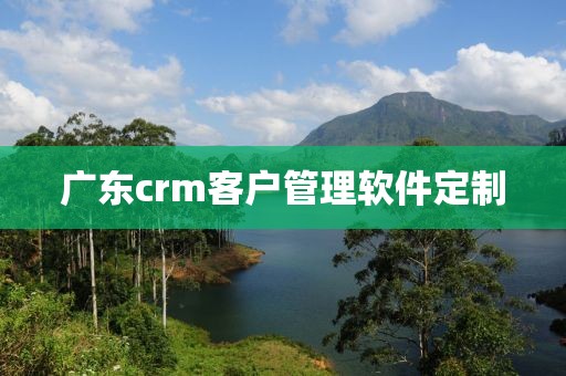 广东crm客户管理软件定制