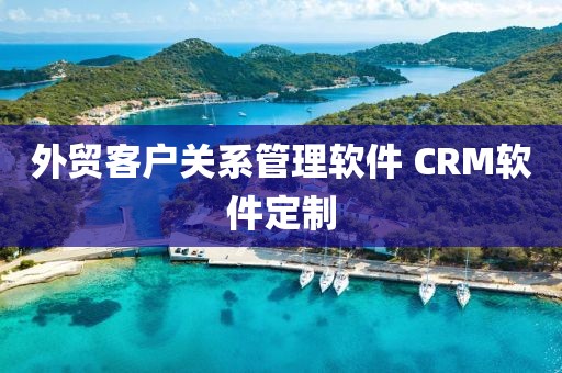 外贸客户关系管理软件 CRM软件定制