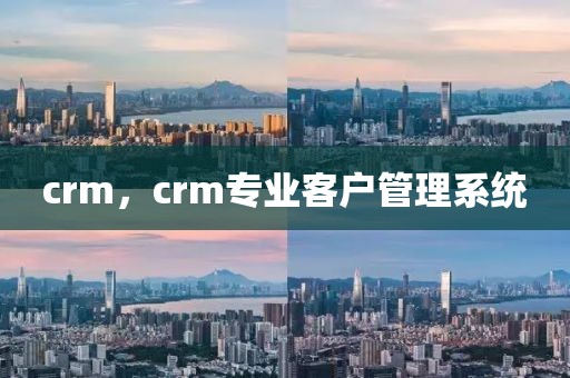 crm，crm专业客户管理系统