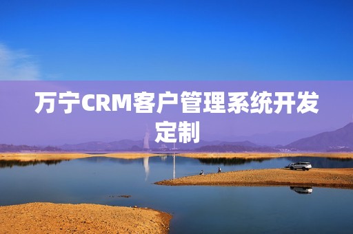 万宁CRM客户管理系统开发定制