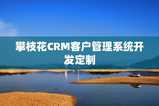 攀枝花CRM客户管理系统开发定制