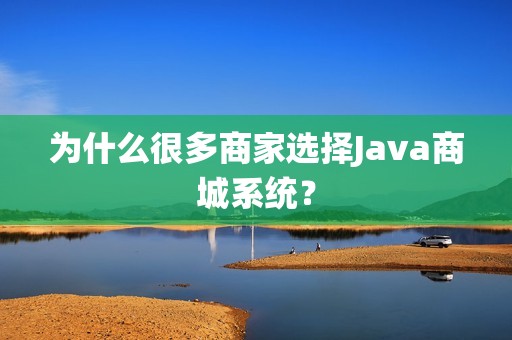 为什么很多商家选择Java商城系统？