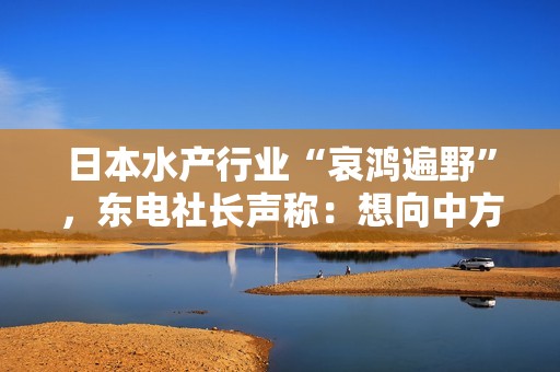日本水产行业“哀鸿遍野”，东电社长声称：想向中方解释，希望撤销进口管制措施