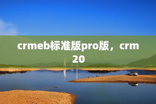 crmeb标准版pro版，crm20