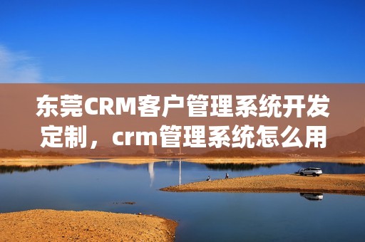 东莞CRM客户管理系统开发定制，crm管理系统怎么用