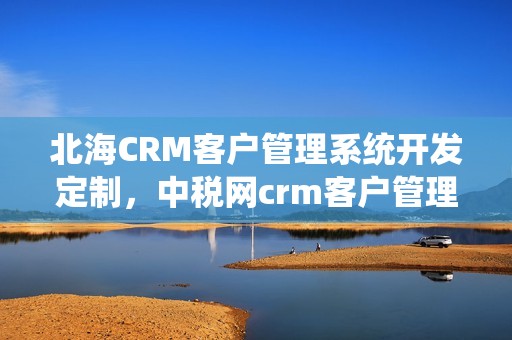 北海CRM客户管理系统开发定制，中税网crm客户管理系统