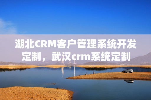 湖北CRM客户管理系统开发定制，武汉crm系统定制