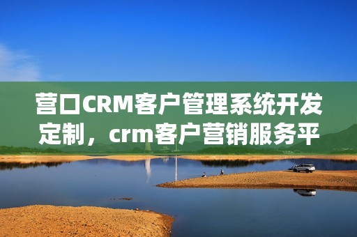 营口CRM客户管理系统开发定制，crm客户营销服务平台