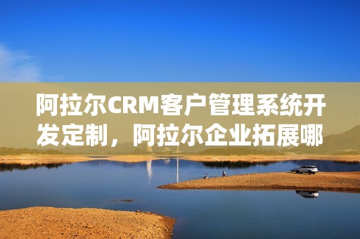 阿拉尔CRM客户管理系统开发定制，阿拉尔企业拓展哪家好