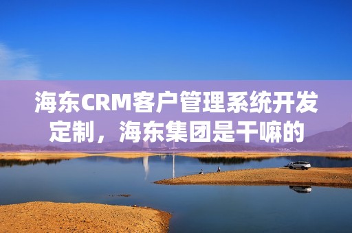 海东CRM客户管理系统开发定制，海东集团是干嘛的