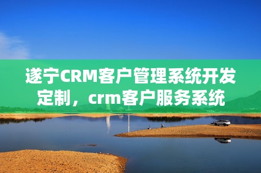 遂宁CRM客户管理系统开发定制，crm客户服务系统