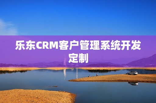 乐东CRM客户管理系统开发定制