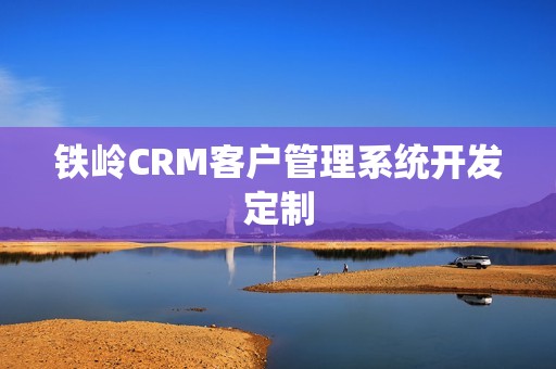铁岭CRM客户管理系统开发定制