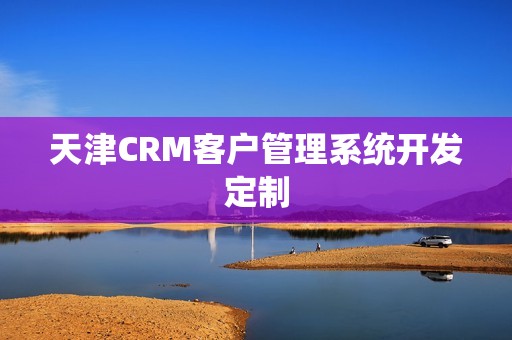 天津CRM客户管理系统开发定制